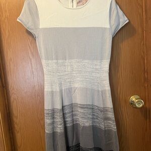 Philosophy Fit & Flare Knit Stripe Sweater Dress Gray Sz M  Like New Condition